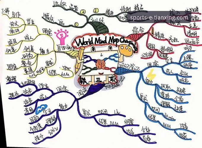 实战派用户深度解析：天行体育官网手机版对比分析的核心价值
